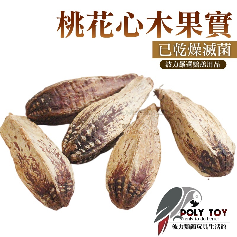 桃花心木果實 已乾燥滅菌 天然玩具 鸚鵡玩具 鸚鵡腳下玩具 波力鸚鵡玩具生活館