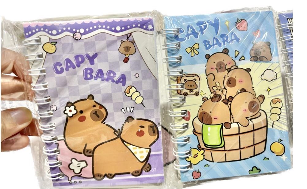 卡皮巴拉 A7 线圈本 一套4本