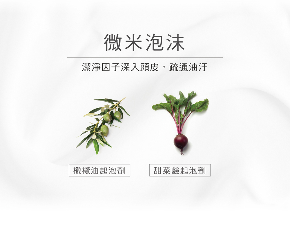 微米泡沫,潔淨因子深入頭皮,疏通油汙,橄欖油起泡劑,甜菜鹼起泡劑