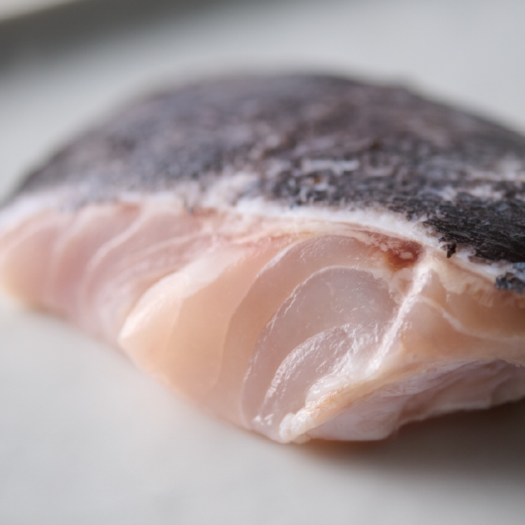 鮮魚-澎湖藍瓜石斑魚排 220-250g