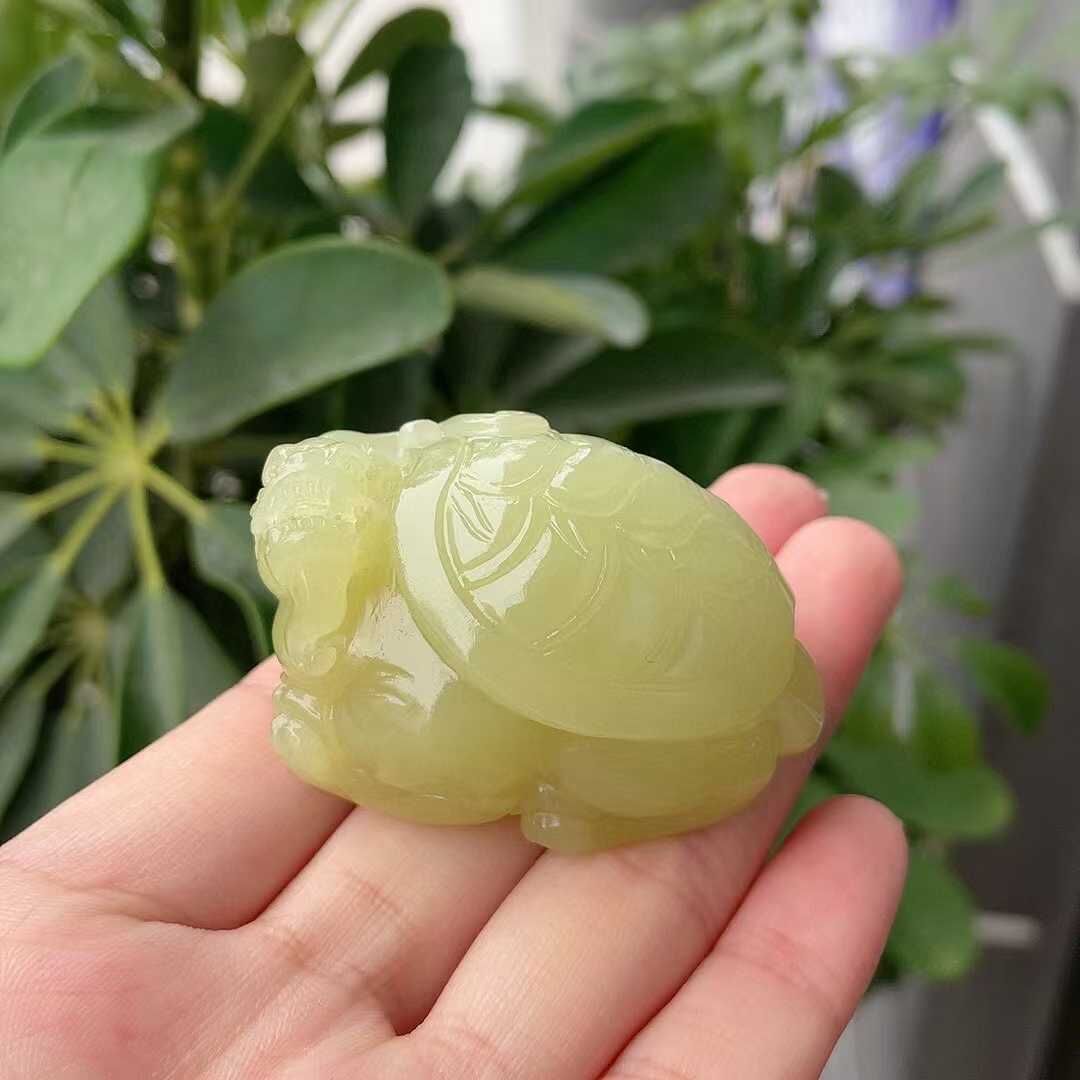 923739 和田玉黃口長壽龍龜