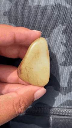 923733 和田玉原籽