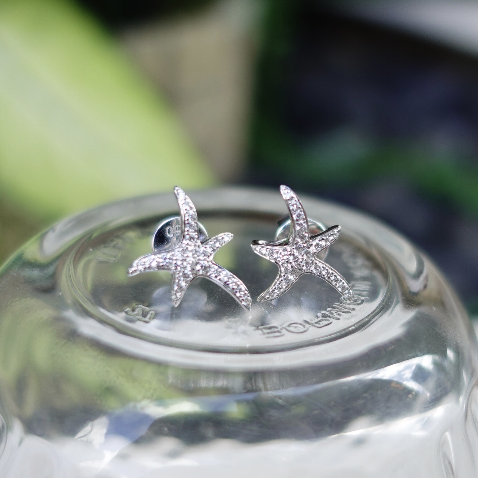 18K金天然鑽石耳釘 - 海洋之星