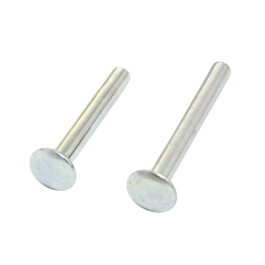 【五金小姐】台灣製 平頭實心鉚釘 [ 10支 ]