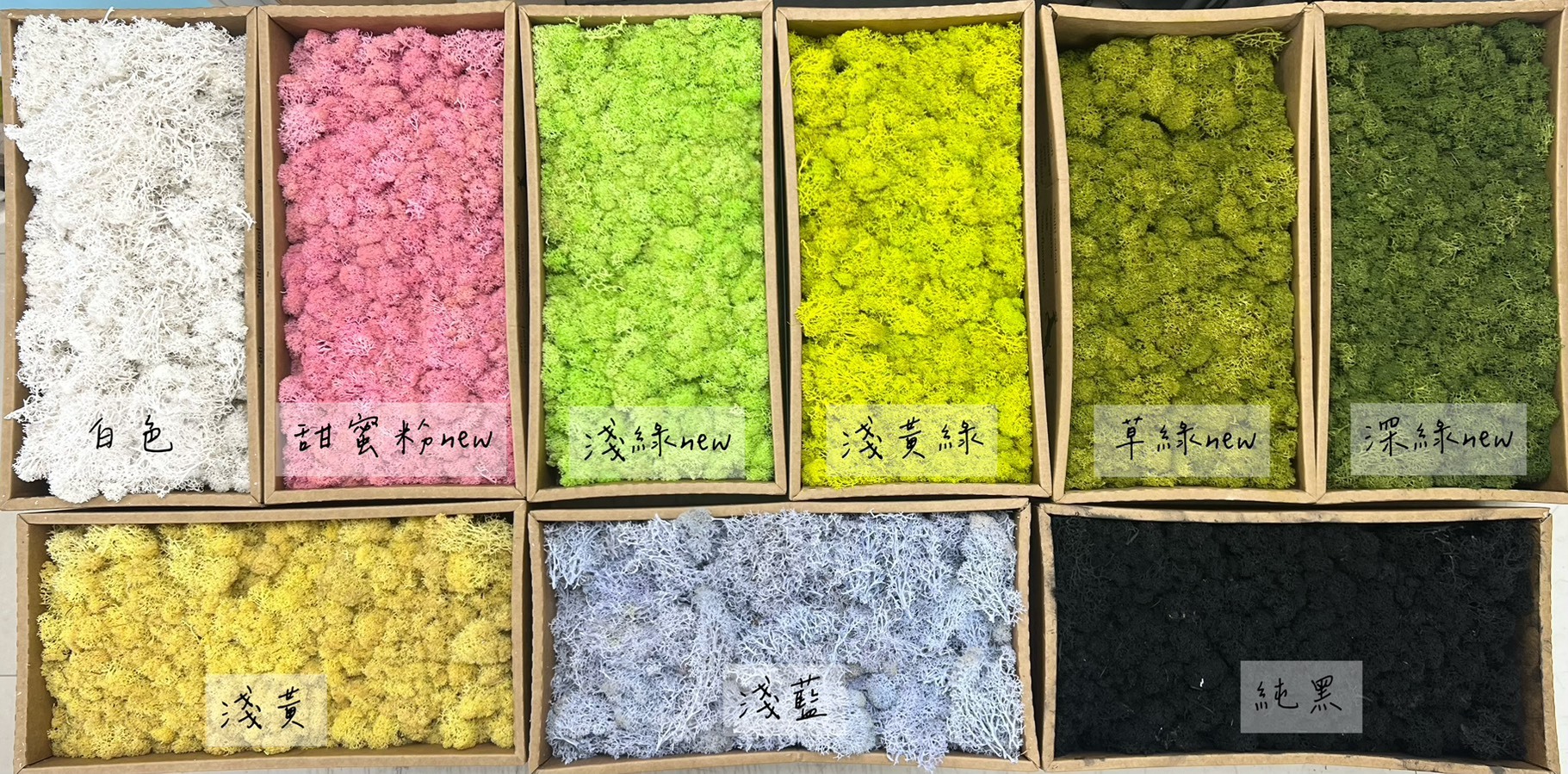 不凋水草(苔蘚) 100g