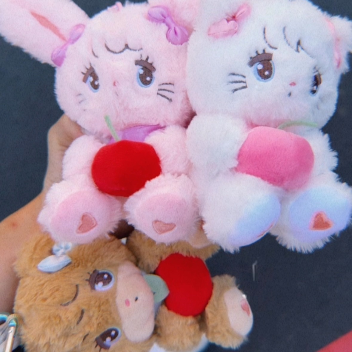 🇯🇵 MIKO系列周邊(現貨)