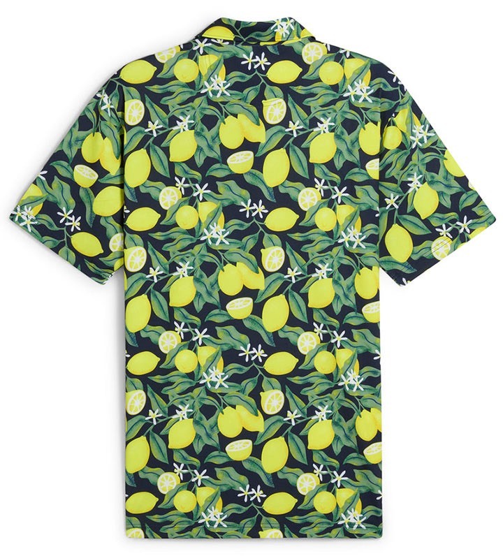 AP Lemon Branch 高爾夫 Polo 衫 #63029901 綠