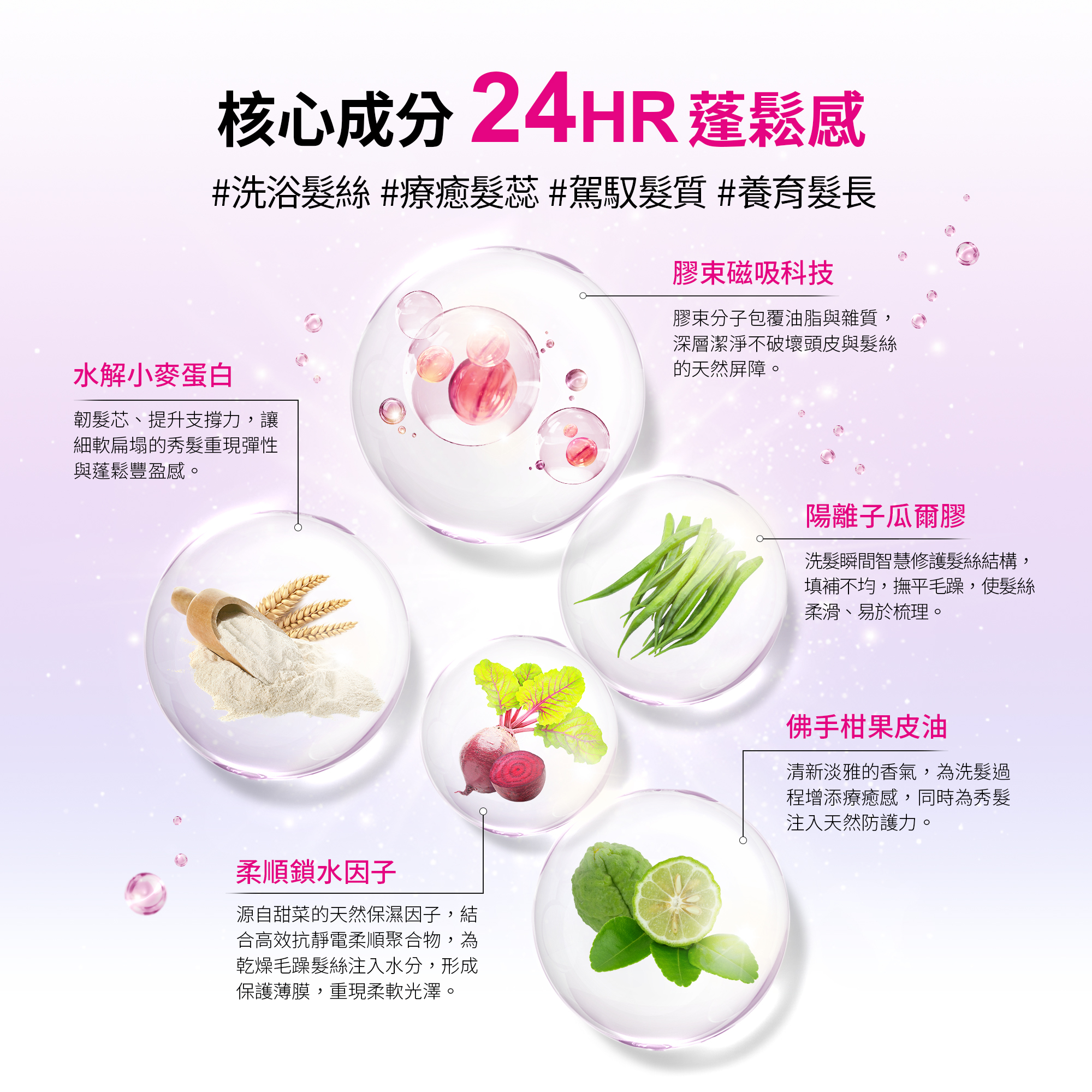 女神磁能柔順髮浴