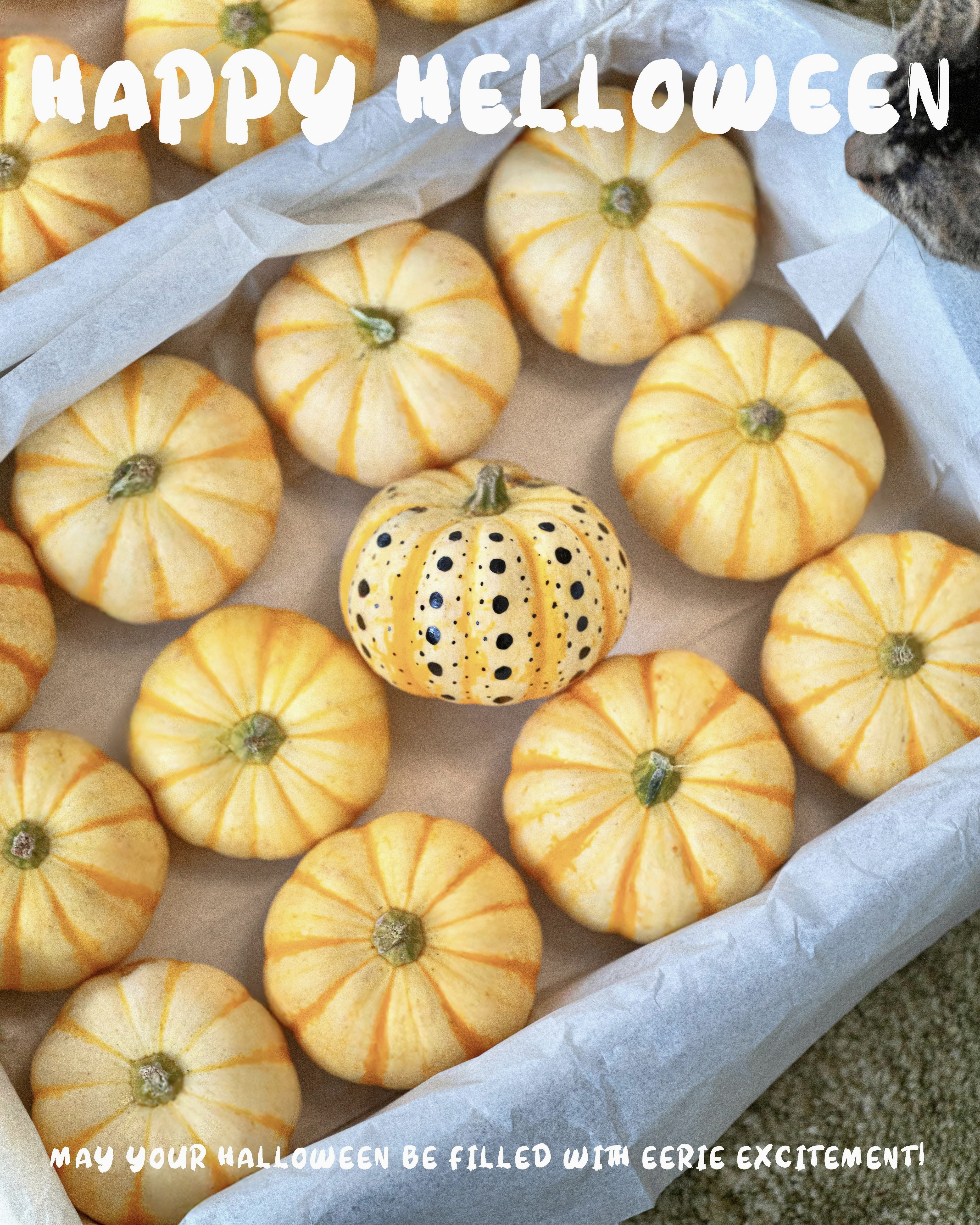 萬聖節小南瓜 － HAPPY HALLOWEEN！