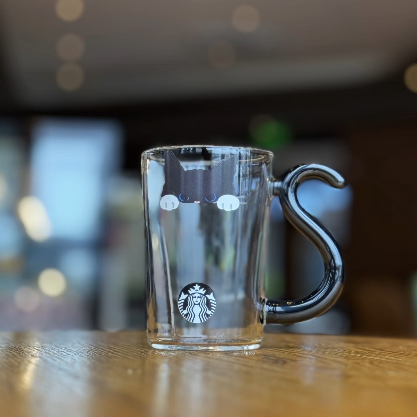 日本限定 starbucks 星巴克 Halloween glass mug 萬聖節 2025 貓咪 耐熱玻璃杯 296ml