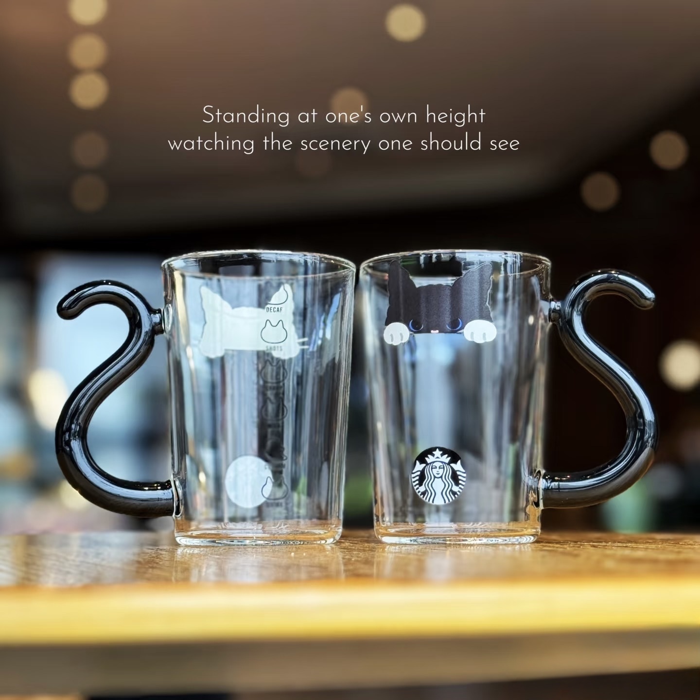 日本限定 starbucks 星巴克 Halloween glass mug 萬聖節 2025 貓咪 耐熱玻璃杯 296ml