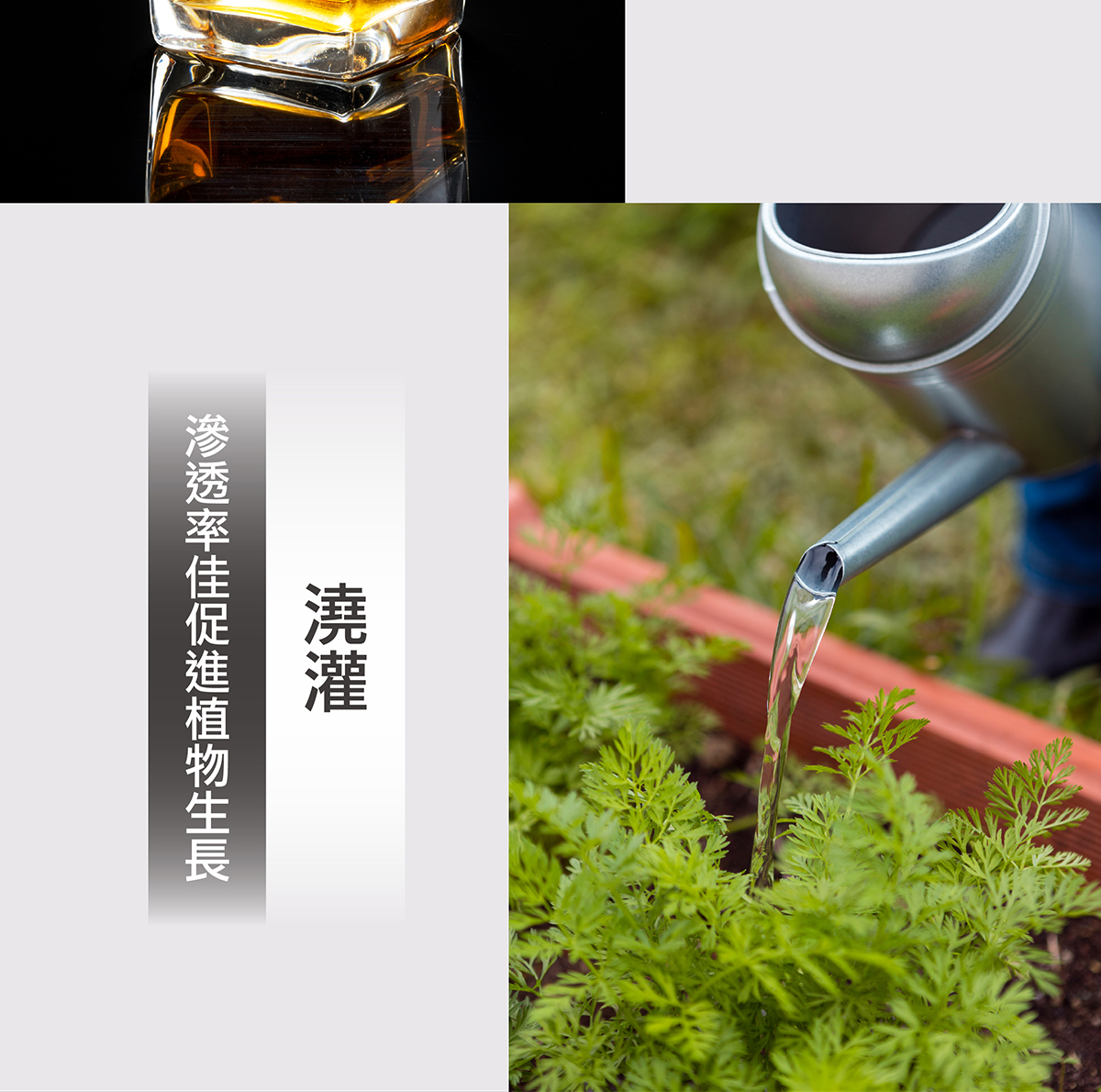 澆灌植物生長更佳