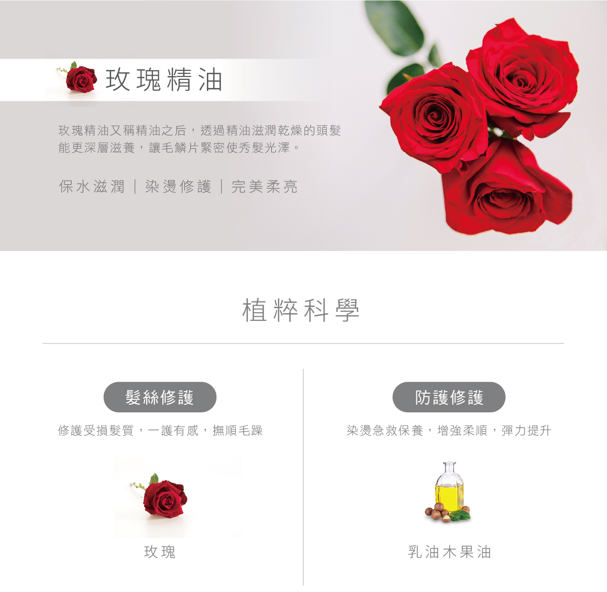 玫瑰精油,又稱精油之后,透過精油滋潤乾燥的頭髮,能更深層滋養,讓毛鱗片緊密使秀髮光澤,保水滋潤,染燙修護,完美柔亮,植粹科學,髮絲修護,修護受損髮質,一護有感,撫順毛躁,玫瑰,防護修護,染燙急救保養,增強柔順,彈力提升,乳油木果油