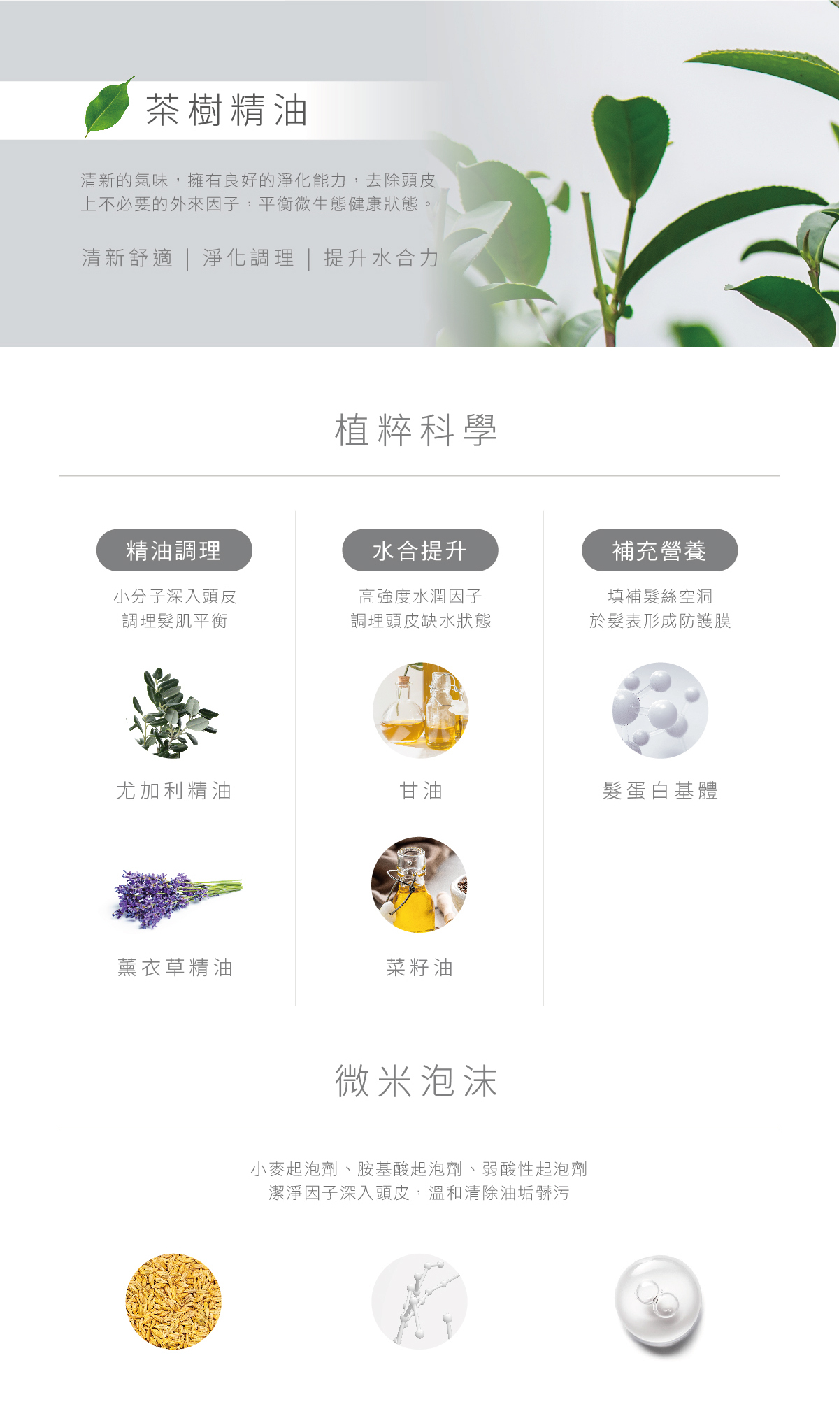 茶樹精油,清新的氣味,擁有良好的淨化能力,去除頭皮上不必要的外來因子,平衡微生態健康狀態,清新舒適,淨化調理,提升水合力,植粹科學,精油調理,小分子深入頭皮,調理髮肌平衡,水合提升,高強度水潤因子,調理頭皮缺水狀態,補充營養,填補髮絲空洞,微米泡沫,小麥起泡劑,胺基酸起泡劑,弱酸性起泡劑,潔淨因子深入頭皮,溫和清除油垢髒汙,