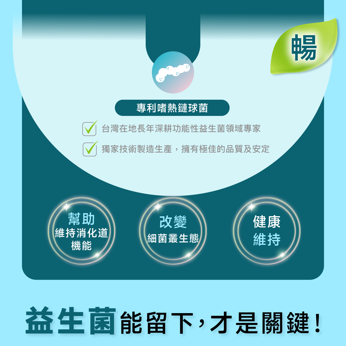 台灣專利嗜熱鏈球菌 .幫助維持消化道機能.改變細菌叢生態.健康維持