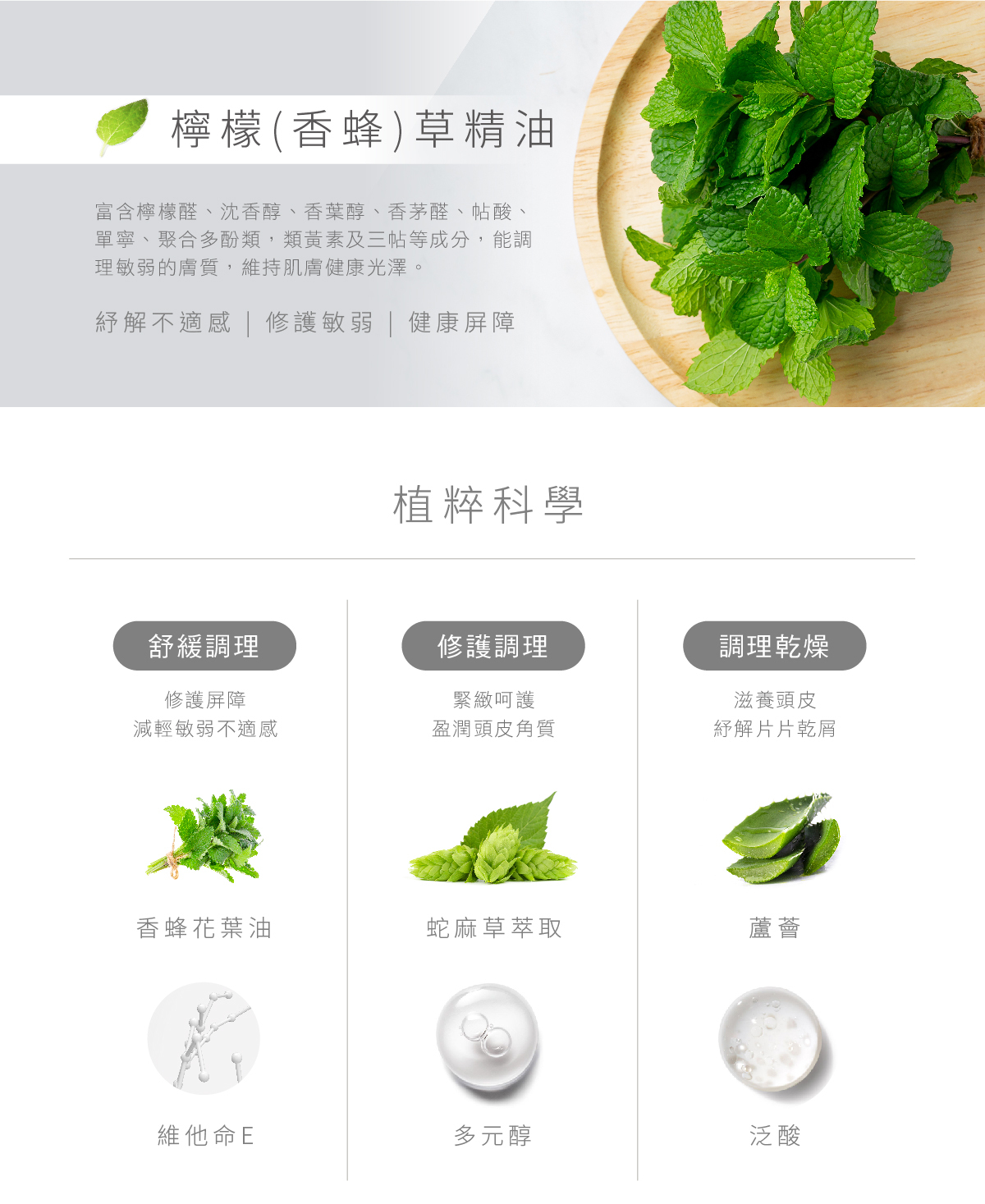 檸檬草,香蜂草,精油,富含檸檬醛,沈香醇,香葉醇,香茅醇,帖酸,單寧,聚合多酚類,類黃素及三帖等成分,能調理敏弱的膚質,維持肌膚健康光澤,紓解不適感,修護敏弱,健康屏障,植粹科學,舒緩調理,修護屏障,減輕敏弱不適感,修護調理,緊緻呵護,盈潤頭皮角質,調理乾燥,滋養頭皮,紓解片片乾屑