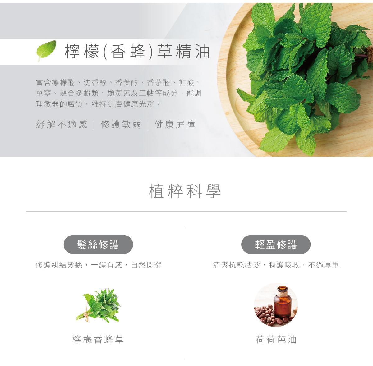 檸檬草,香蜂草,精油,富含檸檬醛,沈香醇,香葉醇,香茅醇,帖酸,單寧,聚合多酚類,類黃素及三帖等成分,能調理敏弱的膚質,維持肌膚健康光澤,紓解不適感,修護敏弱,健康屏障,植粹科學,髮絲修護,修護糾結髮絲,一護有感,自然閃耀,輕盈修護,清爽抗乾枯髮,瞬護吸收,不過厚重