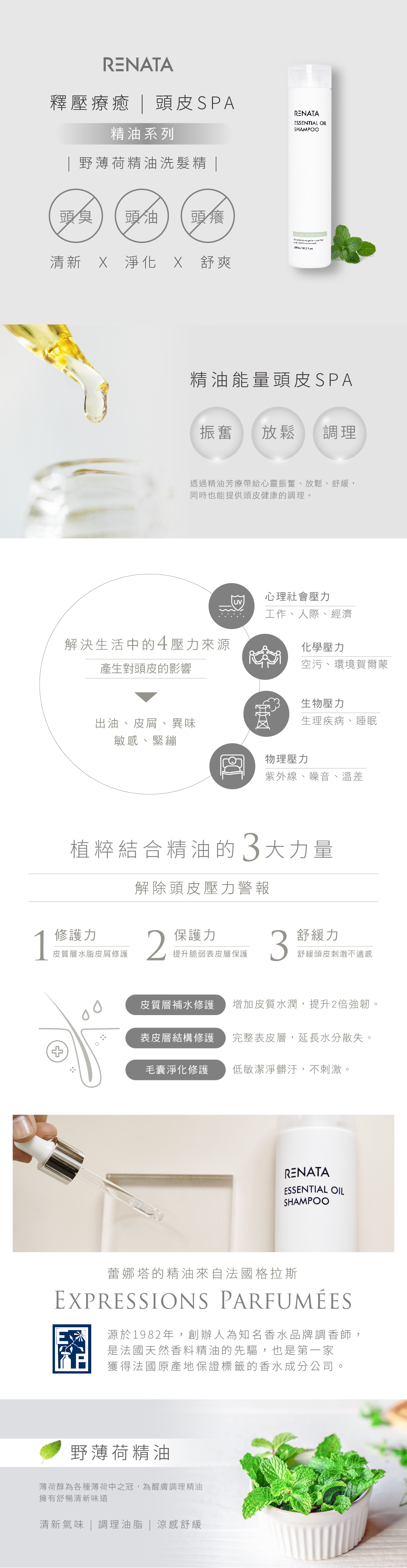 RENATA,釋壓療癒,頭皮SPA,精油系列,野薄荷精油洗髮精,清新,淨化,舒爽,精油能量頭皮SPA,振奮,放鬆,調理,透過精油芳療帶給心靈振奮,放鬆,舒緩,同時也能提供頭皮健康的調理,解決生活中的4壓力來源,產生對頭皮的影響,出油,皮屑,異味,敏感,緊繃,心理社會壓力,工作,人際,經濟,化學壓力,空屋,環境賀爾蒙,生物壓力,生理疾病,睡眠,物理壓力,紫外線,噪音,溫差,植粹結合精油的3大力量,解除髮肌失衡警報,修護力,皮質層水脂皮屑修護,保護力,提升脆弱表皮層保護,舒緩力,舒緩頭皮刺激不適感,皮質層補水修護,增加皮質水潤,提升2被強韌,表皮層結構修護,完整表皮層,延長水分散失,毛囊淨化修護,低敏潔淨髒汙,不刺激,蕾娜塔的精油來自法國格拉斯,野薄荷精油,薄荷醇為各種薄荷中之冠,為醒膚調理精油擁有舒暢清新味道,清新氣味,調理油脂,涼感舒緩