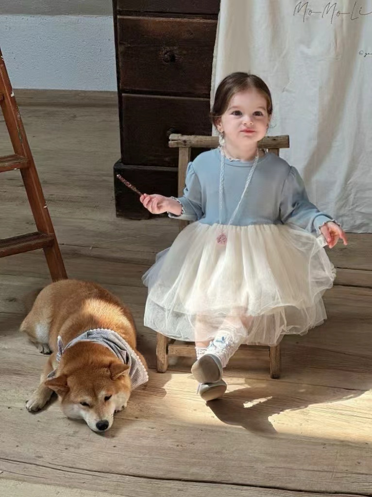 BYB10D004BL 法式貴族通花馬甲藍白連身裙