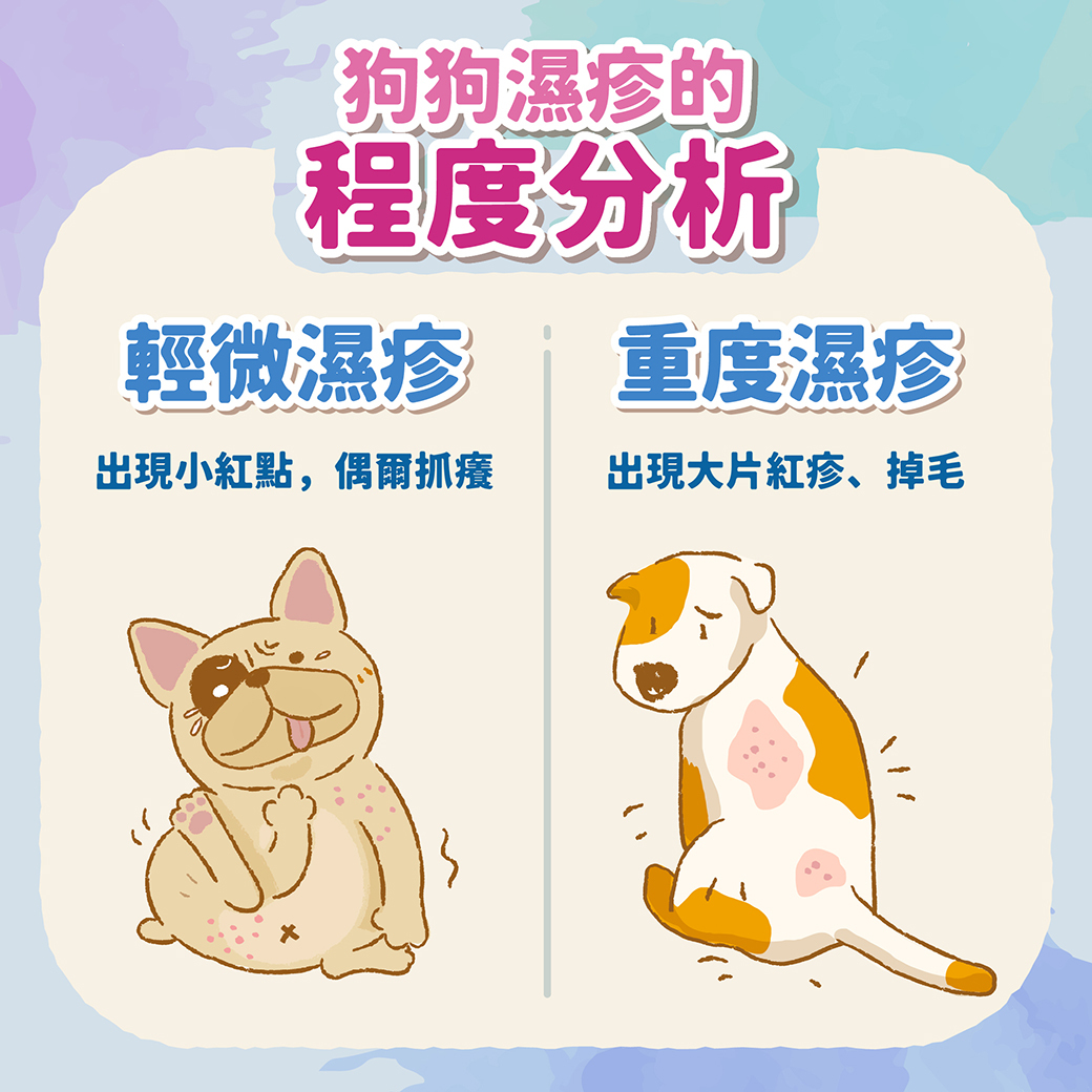 狗狗濕疹怎麼照顧