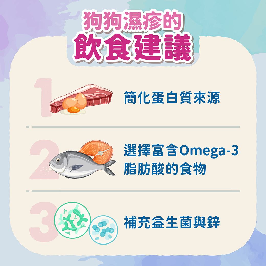 狗狗濕疹