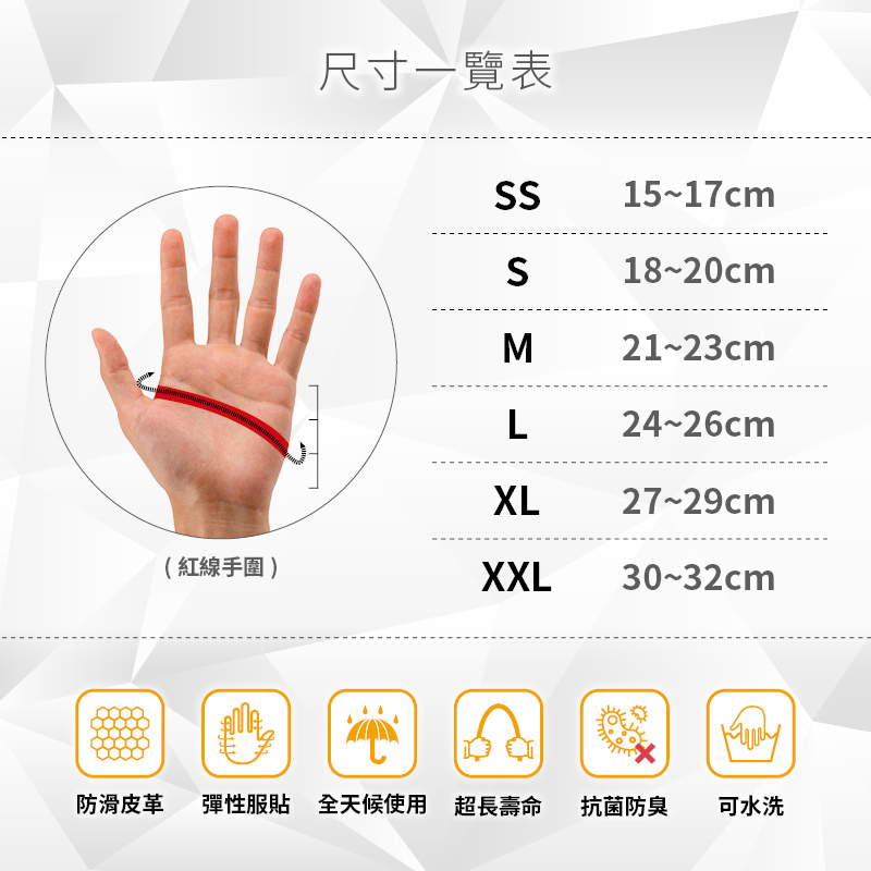 FIT39 經典款 單支 (不挑色)
