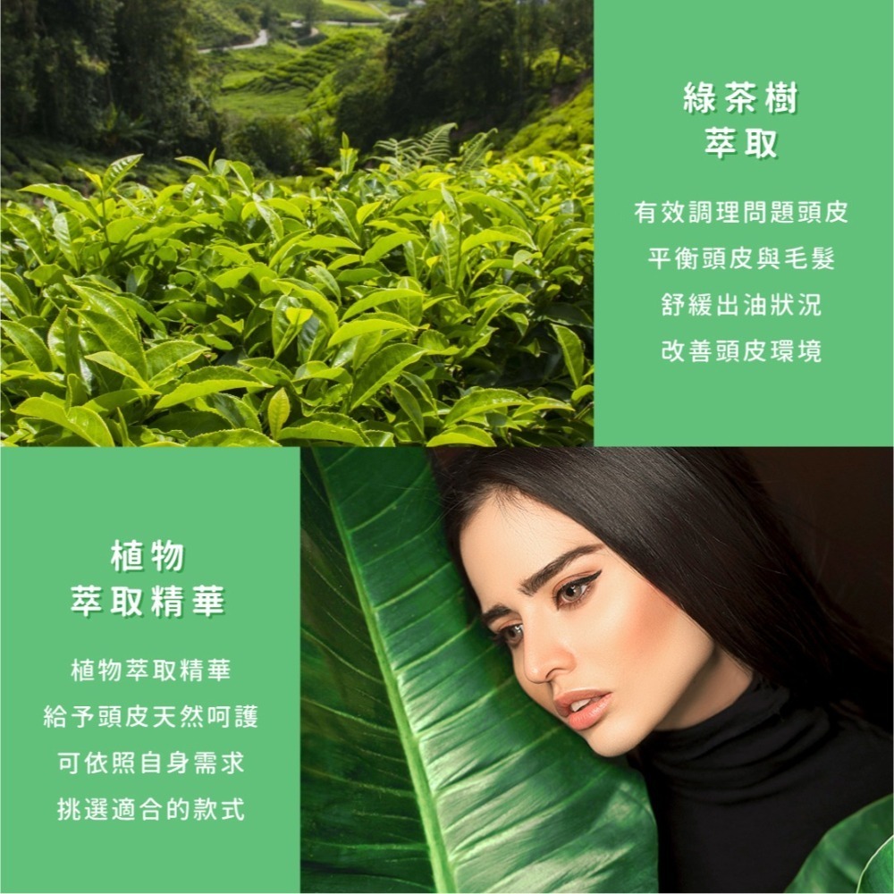 SSUNE 植感原翠洗髮精/護髮素 800ML