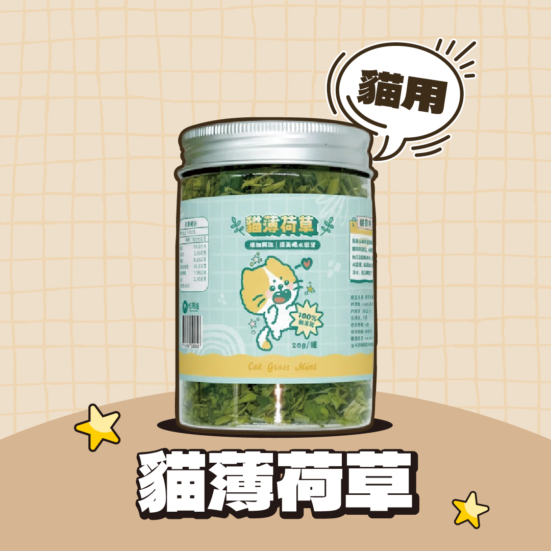 毛班長｜MIT台灣製造貓薄荷草