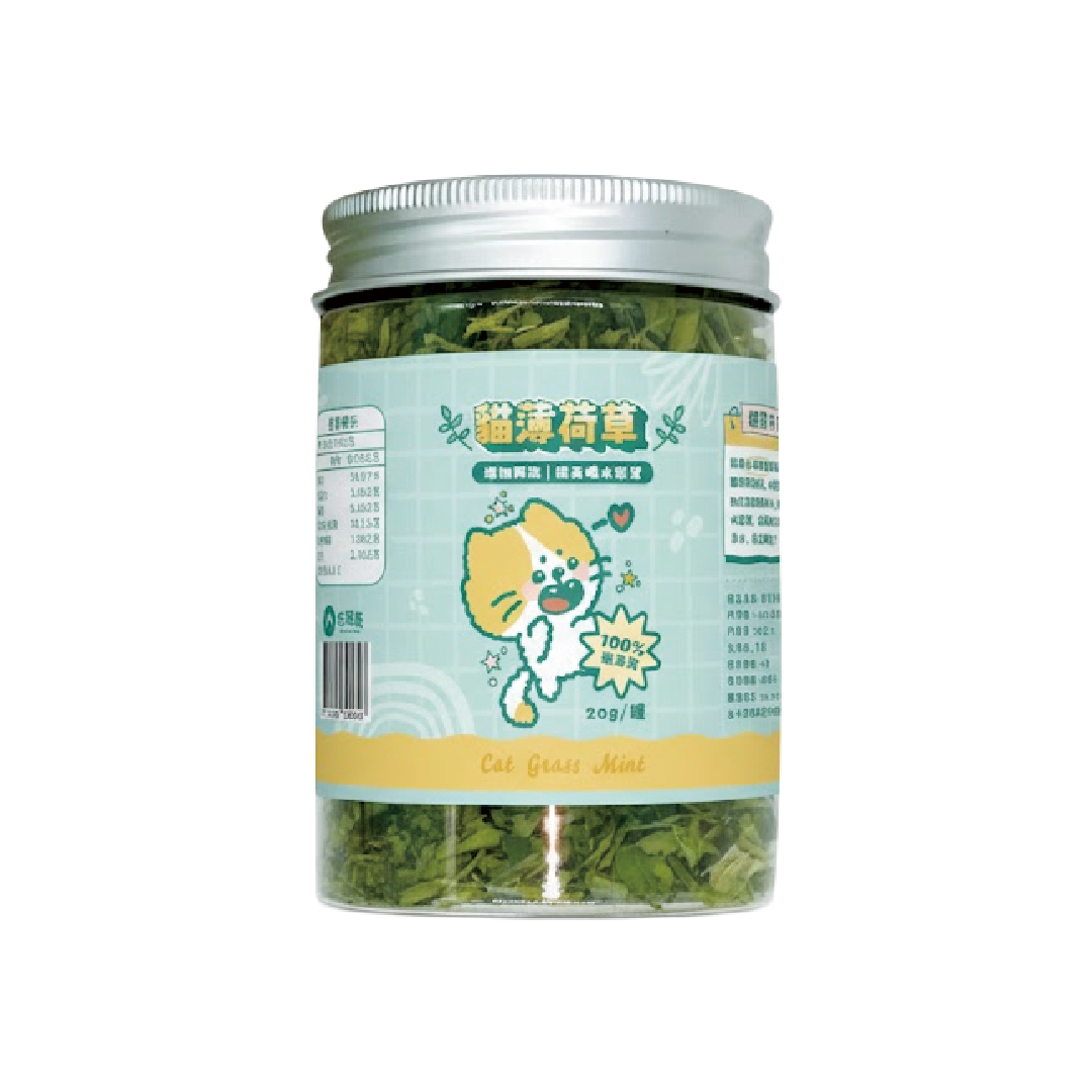 毛班長｜MIT台灣製造貓薄荷草