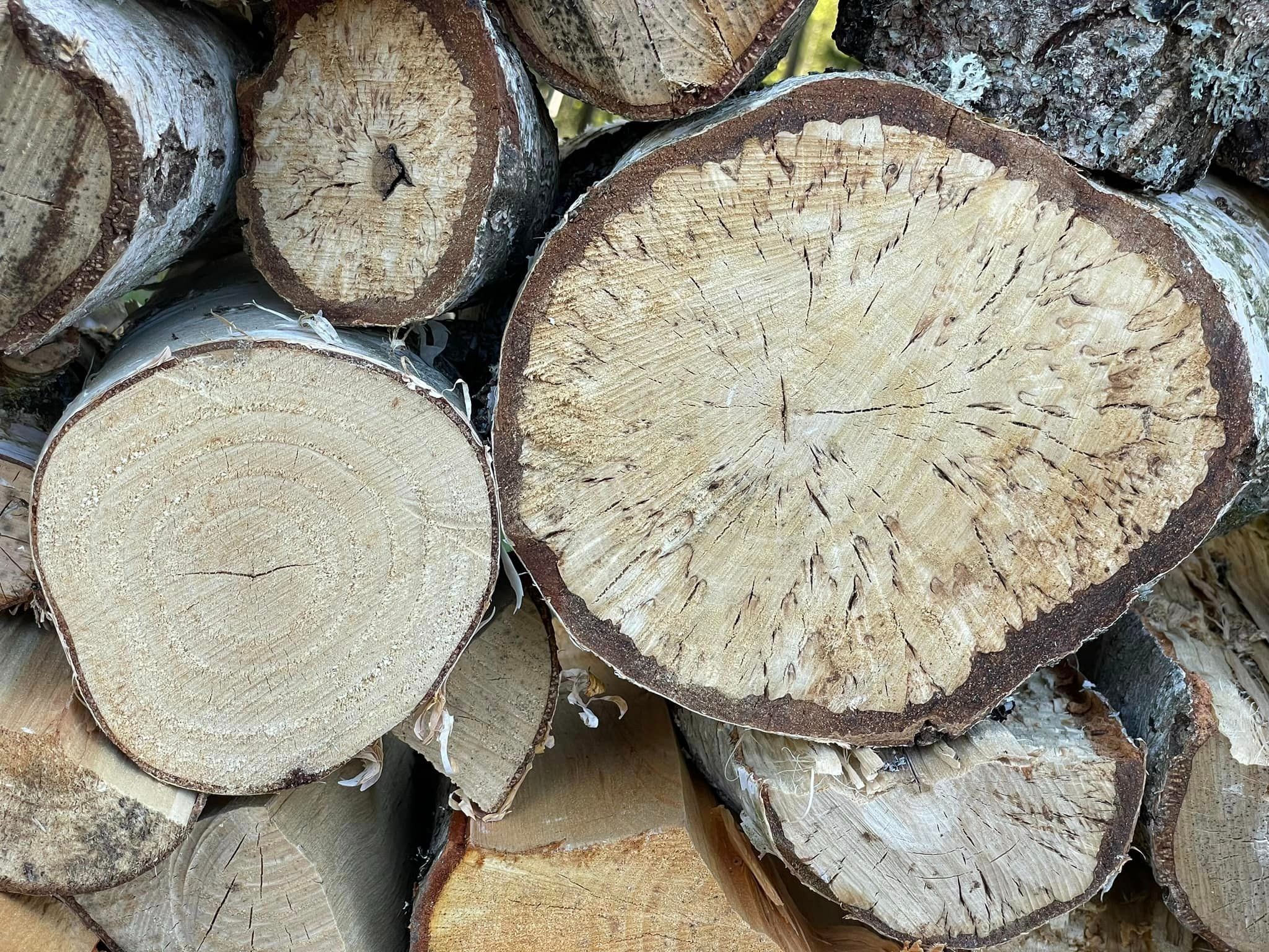 Zeitgeist Artisan Collection IEM