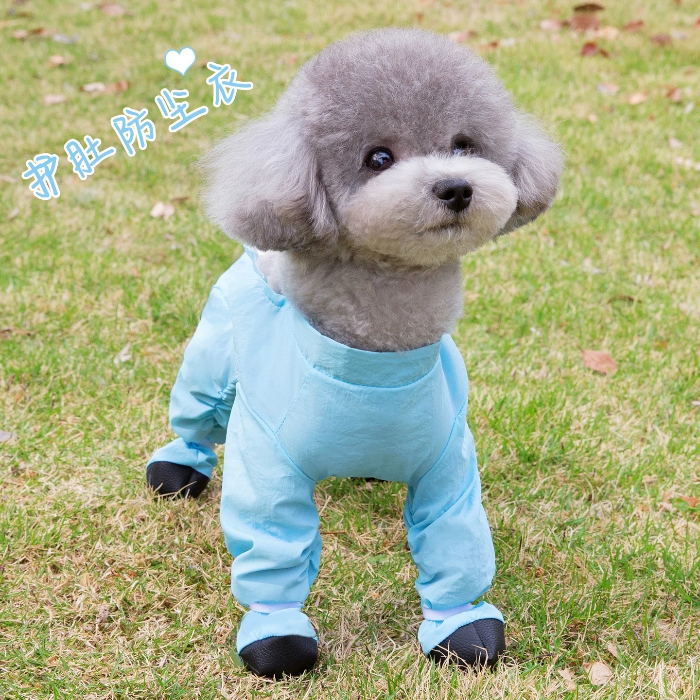 狗狗连体衣 防脏防尘衣服