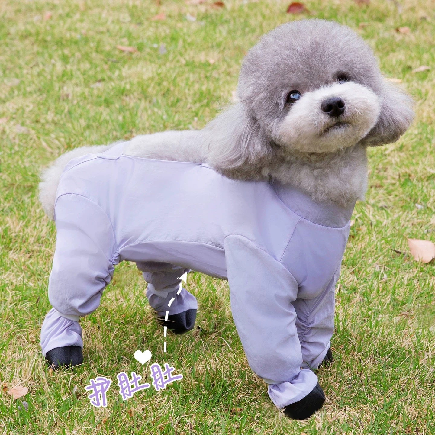 狗狗连体衣 防脏防尘衣服