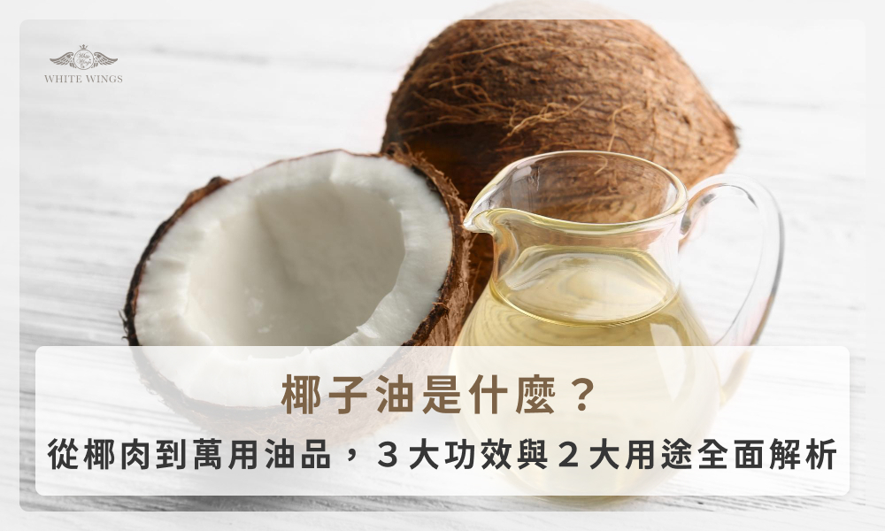 椰子油是什麼？從椰肉到萬用油品，3大功效與2大用途全面解析