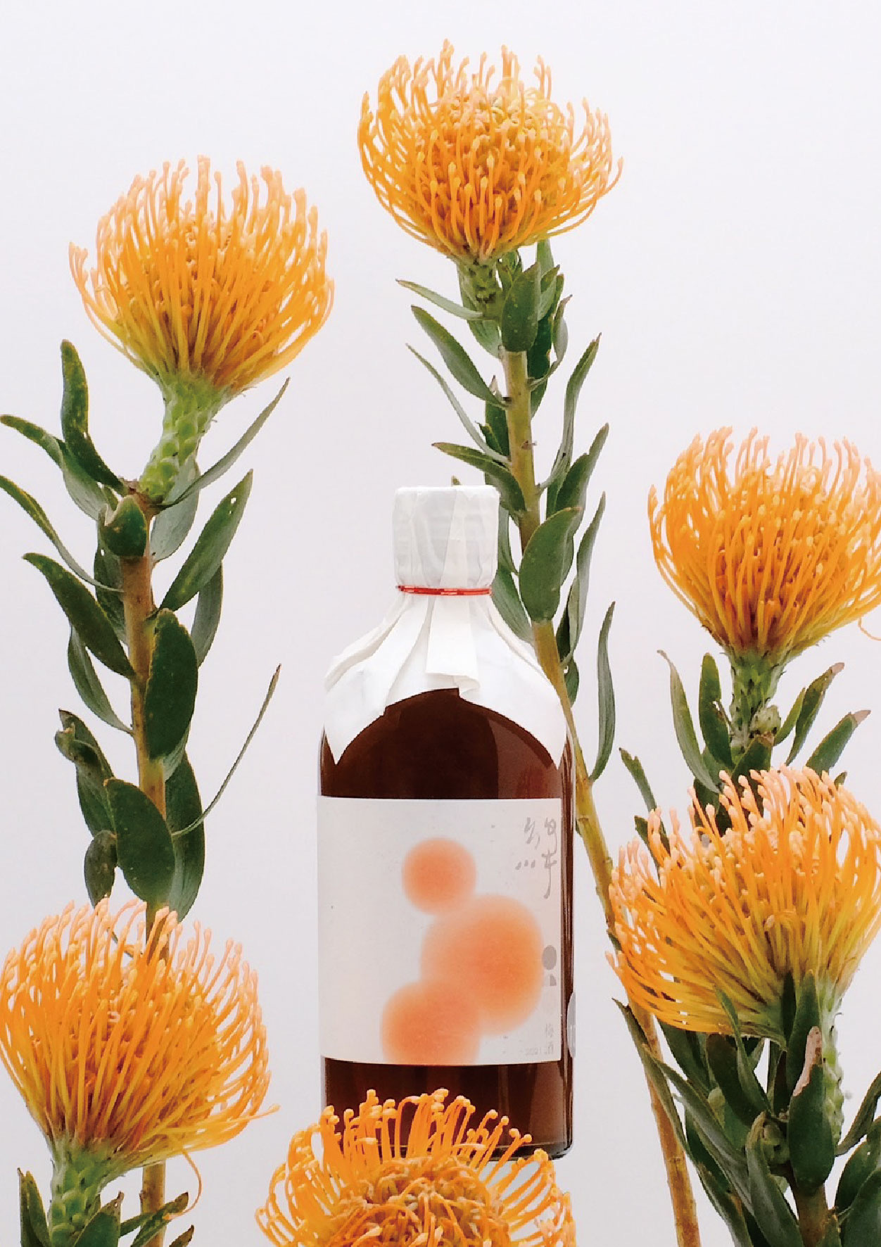 胭脂紅烏龍茶梅酒_絳