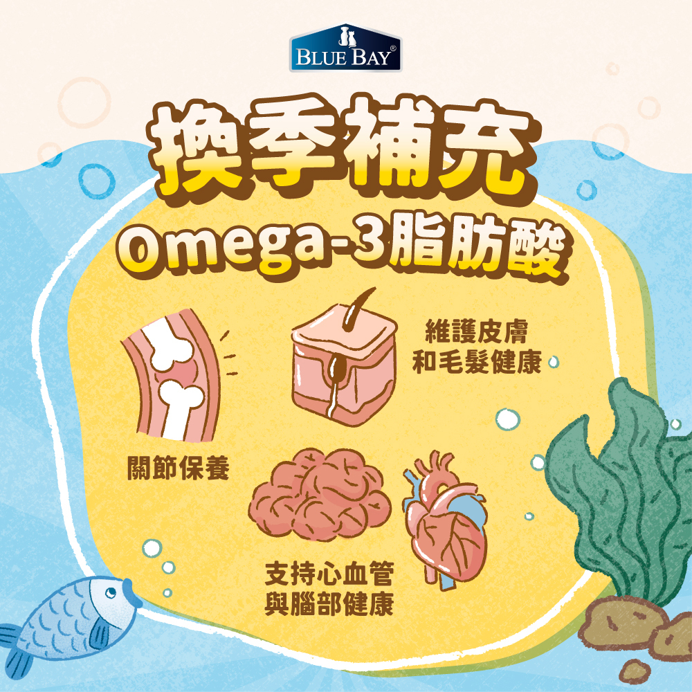 毛孩換毛