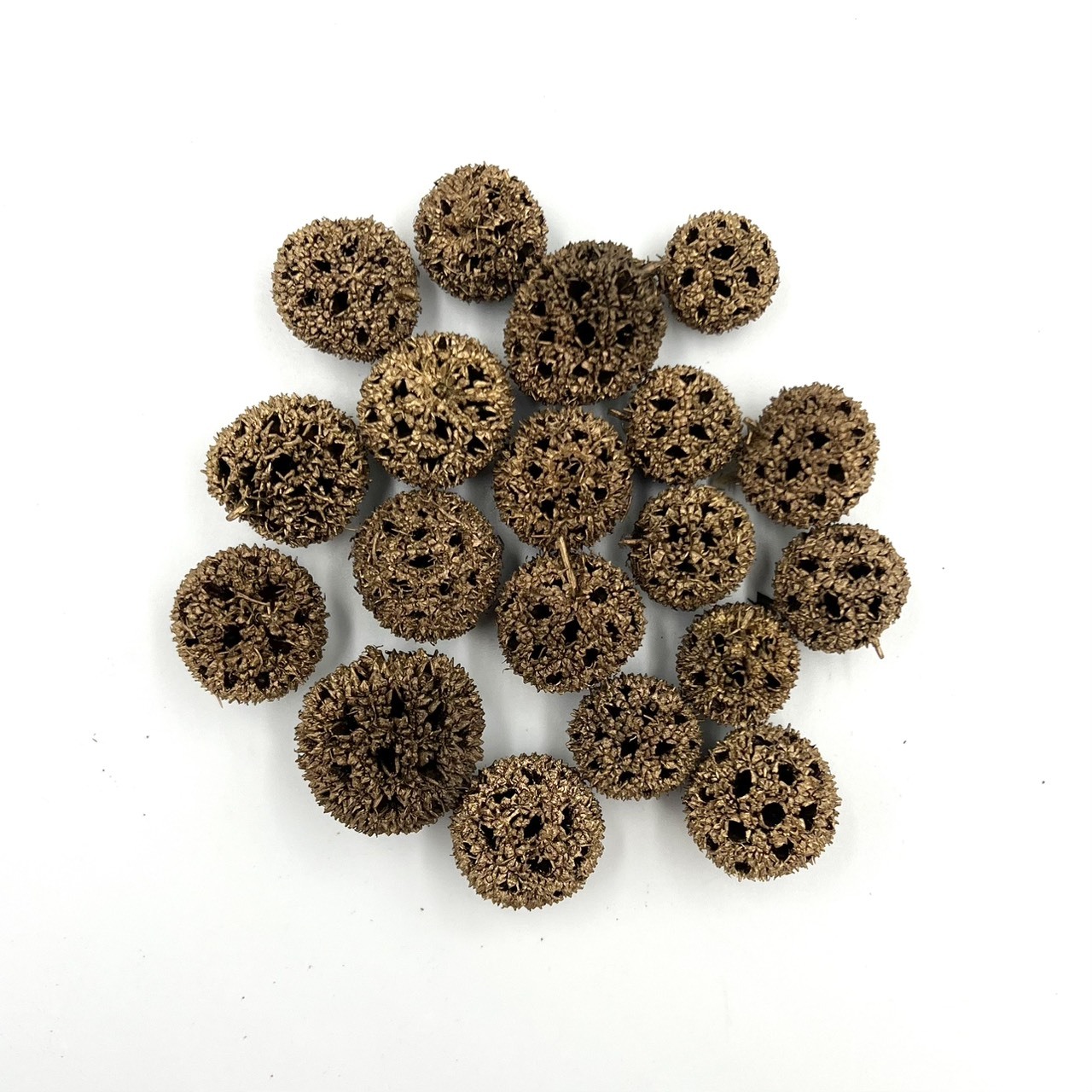 古銅金楓香果 (50g)