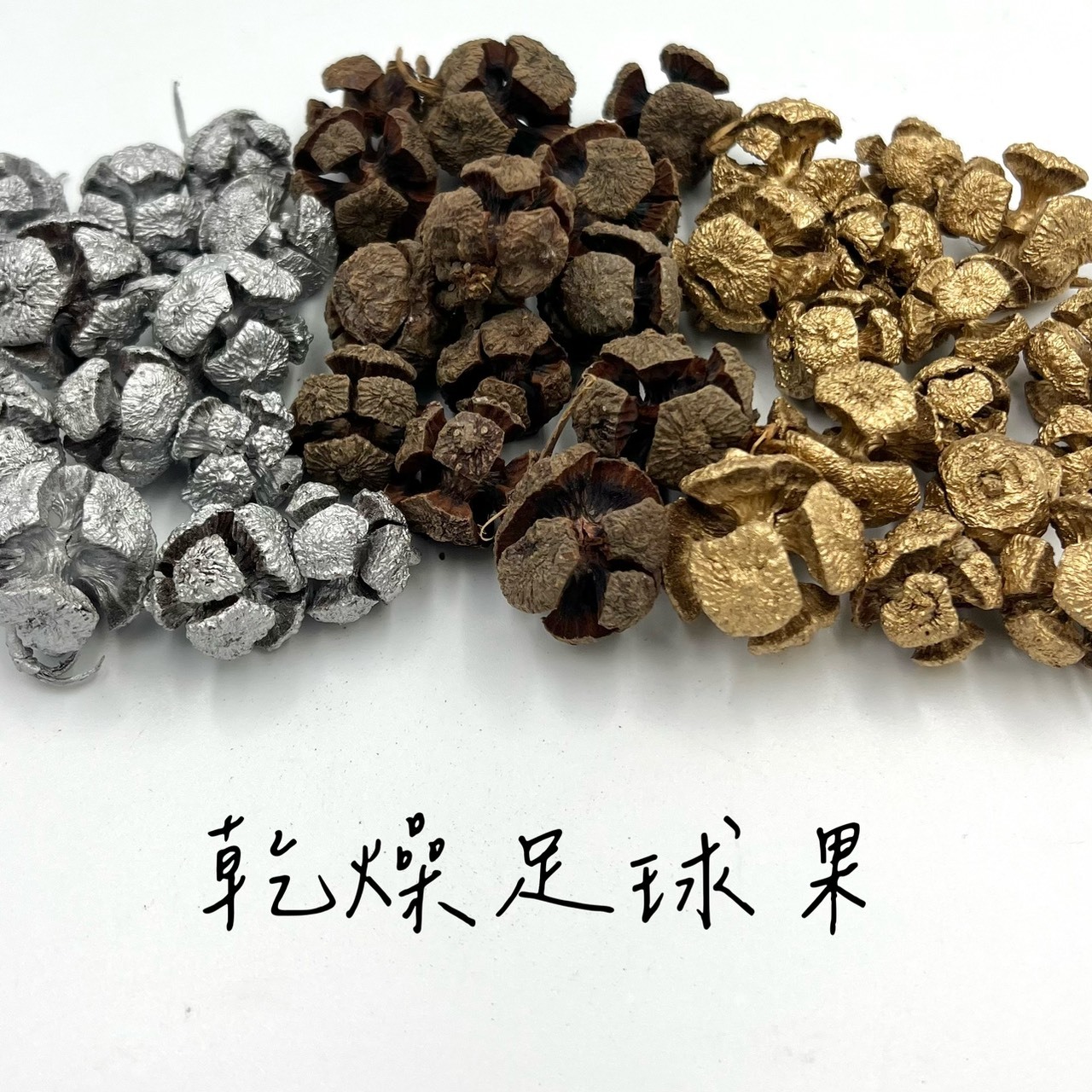 乾燥足球果(50g)