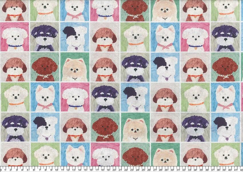 棉布251013-005(一尺)