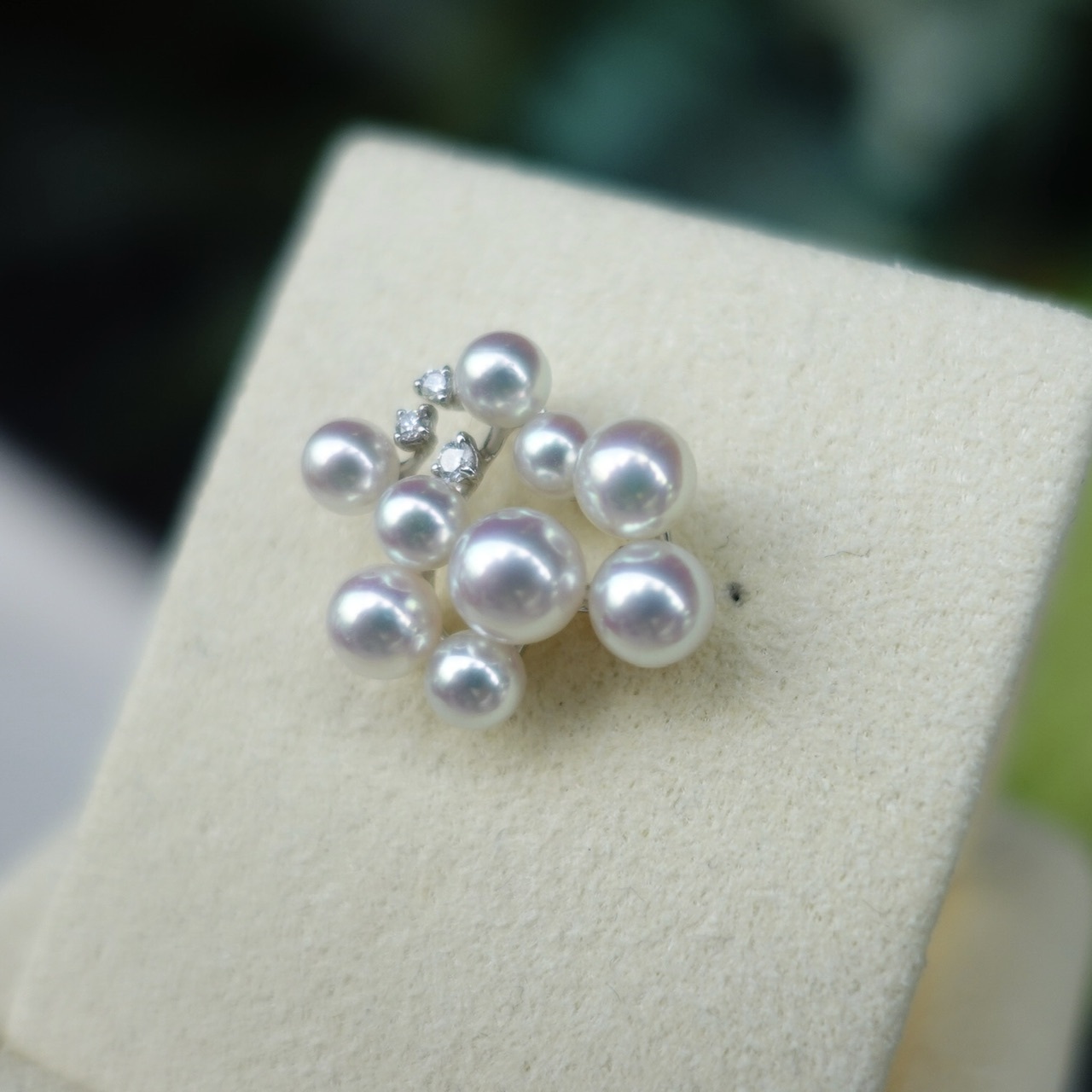 18K金日金baby Akoya珍珠鑽石小胸針 - 繁星