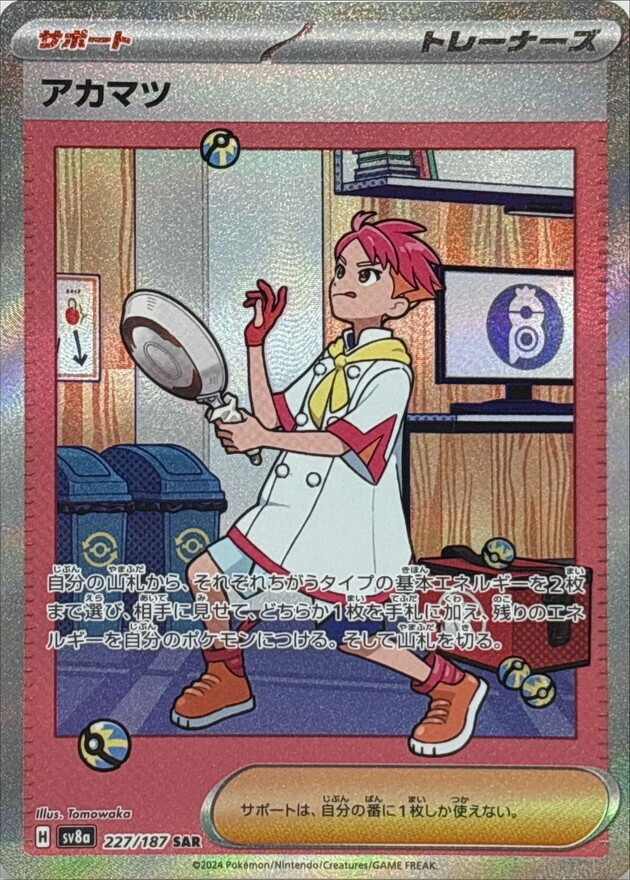 POKEMON JAPANESE SV8A 227/187 SAR