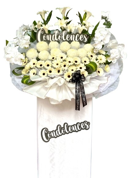 H270A ⭐⭐⭐⭐⭐Member  Discount