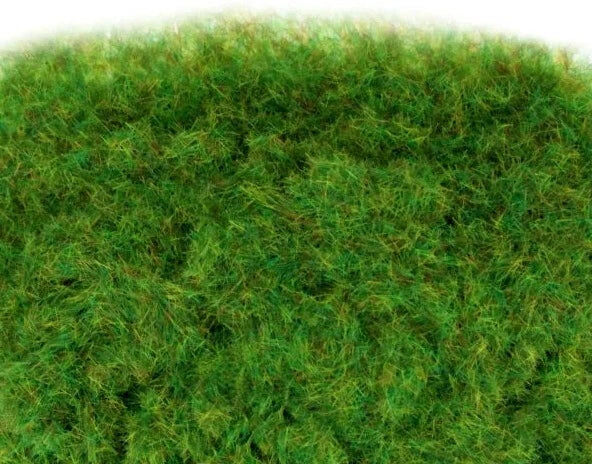 WWSCENICS WSG2-018 WWS 2毫米夏季靜電草 - 1000毫升罐裝