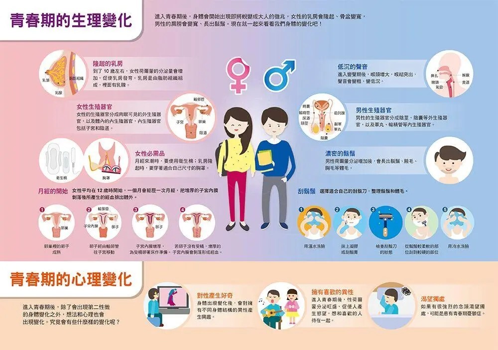 漫畫大英百科【人體醫學4】：青春期與性