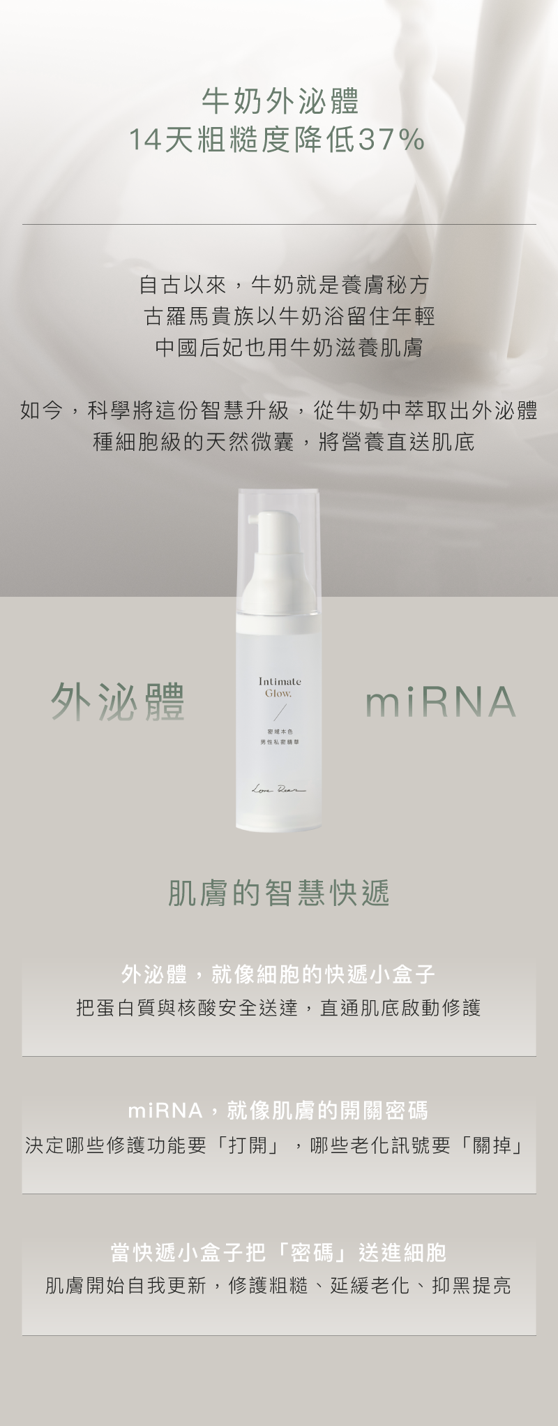 男性私密精華-使用次數-早晚