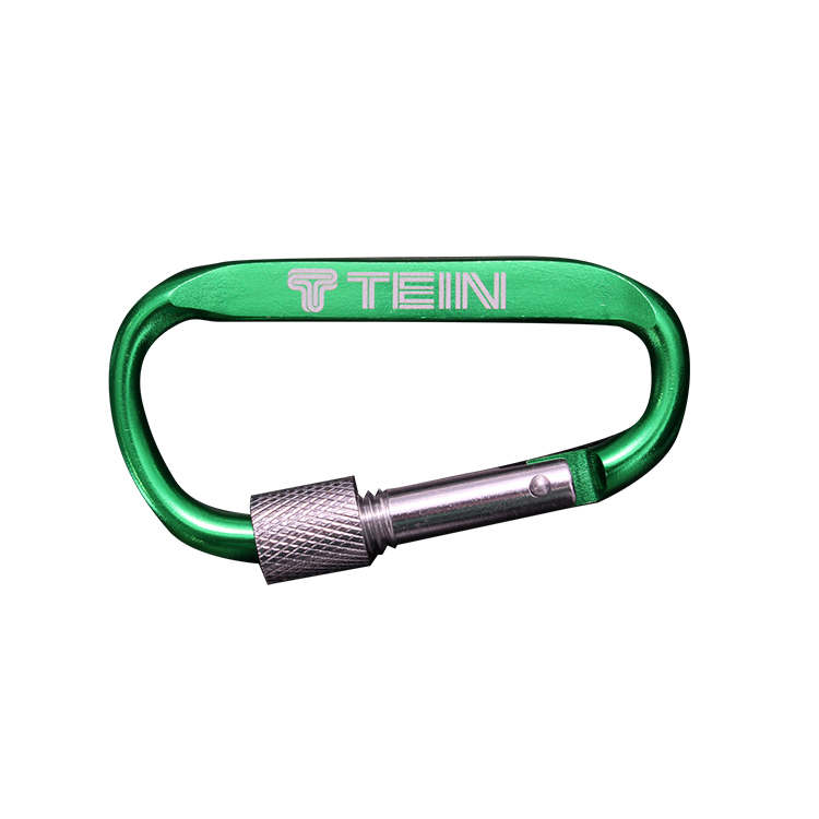 TEIN 登山扣鑰匙圈