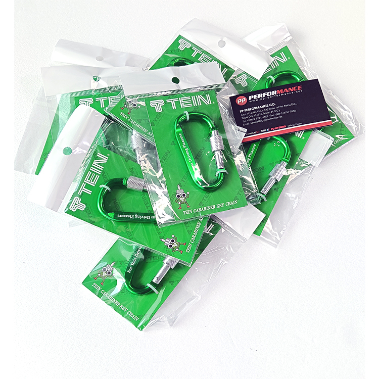 TEIN 登山扣鑰匙圈