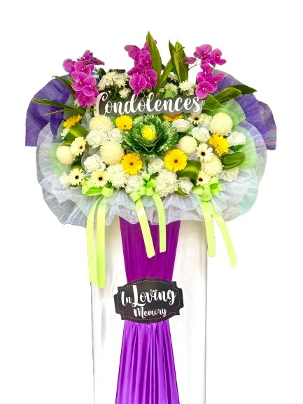 H225 ⭐⭐⭐⭐⭐member discount