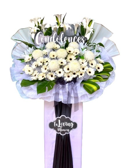 H233 ⭐⭐⭐⭐⭐MEMBER DISCOUNT