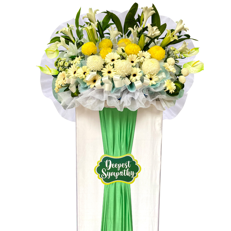 H278 ⭐⭐⭐⭐⭐MEMBER DISCOUNT