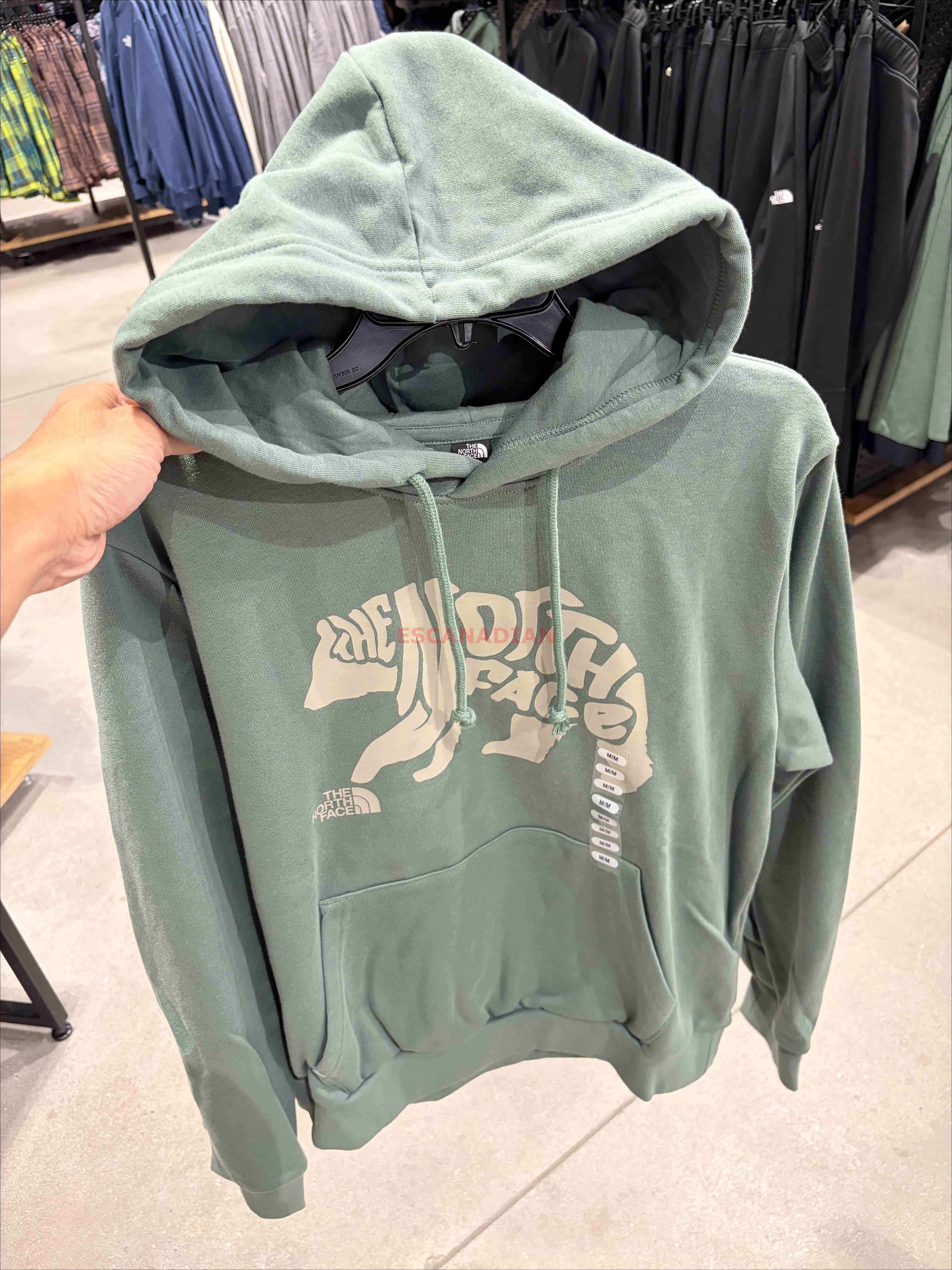 THE NORTH FACE 男大人 熊圖案 刷毛 帽TEE